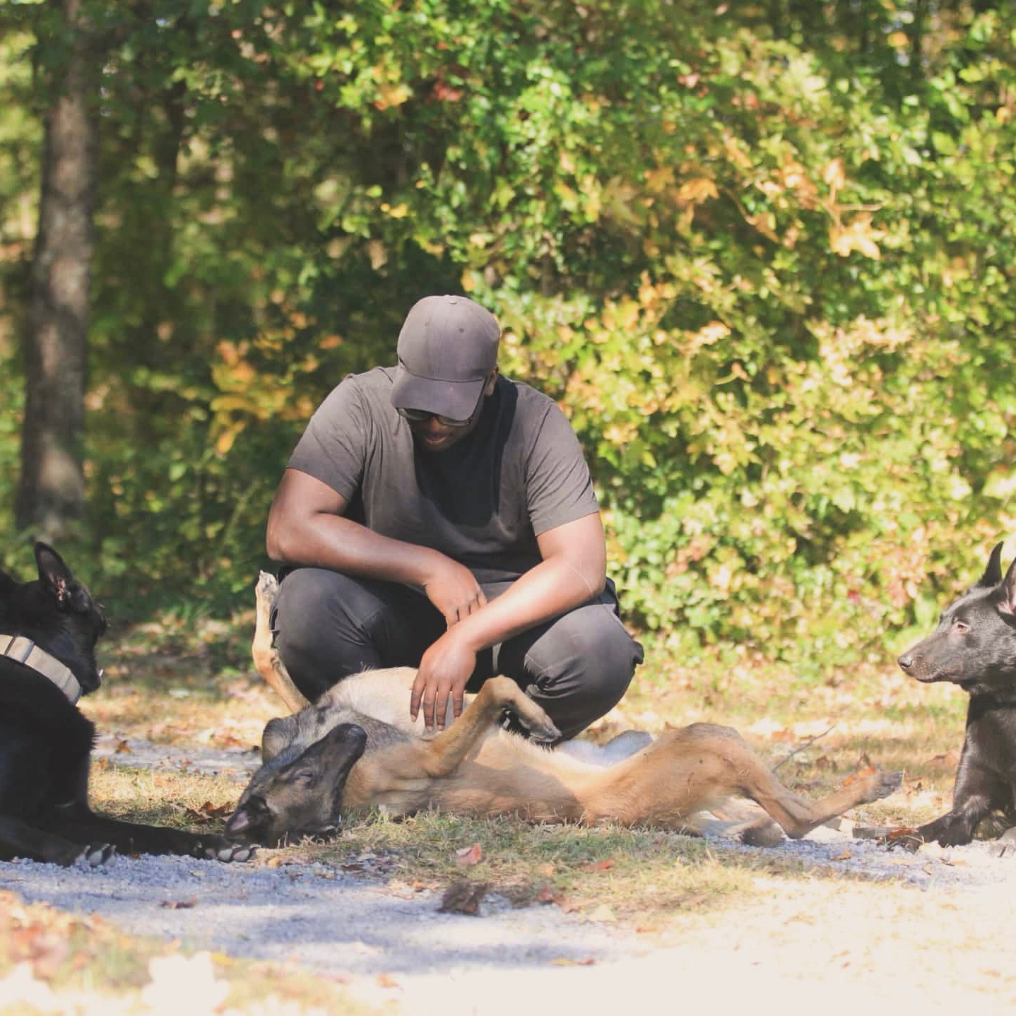 Cedric Jones with his working dogs